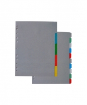 Plastic Colour Index Divider 5's